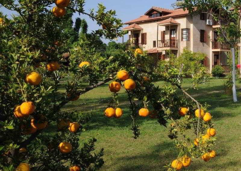 Yonca Lodge Fethiye Exterior foto