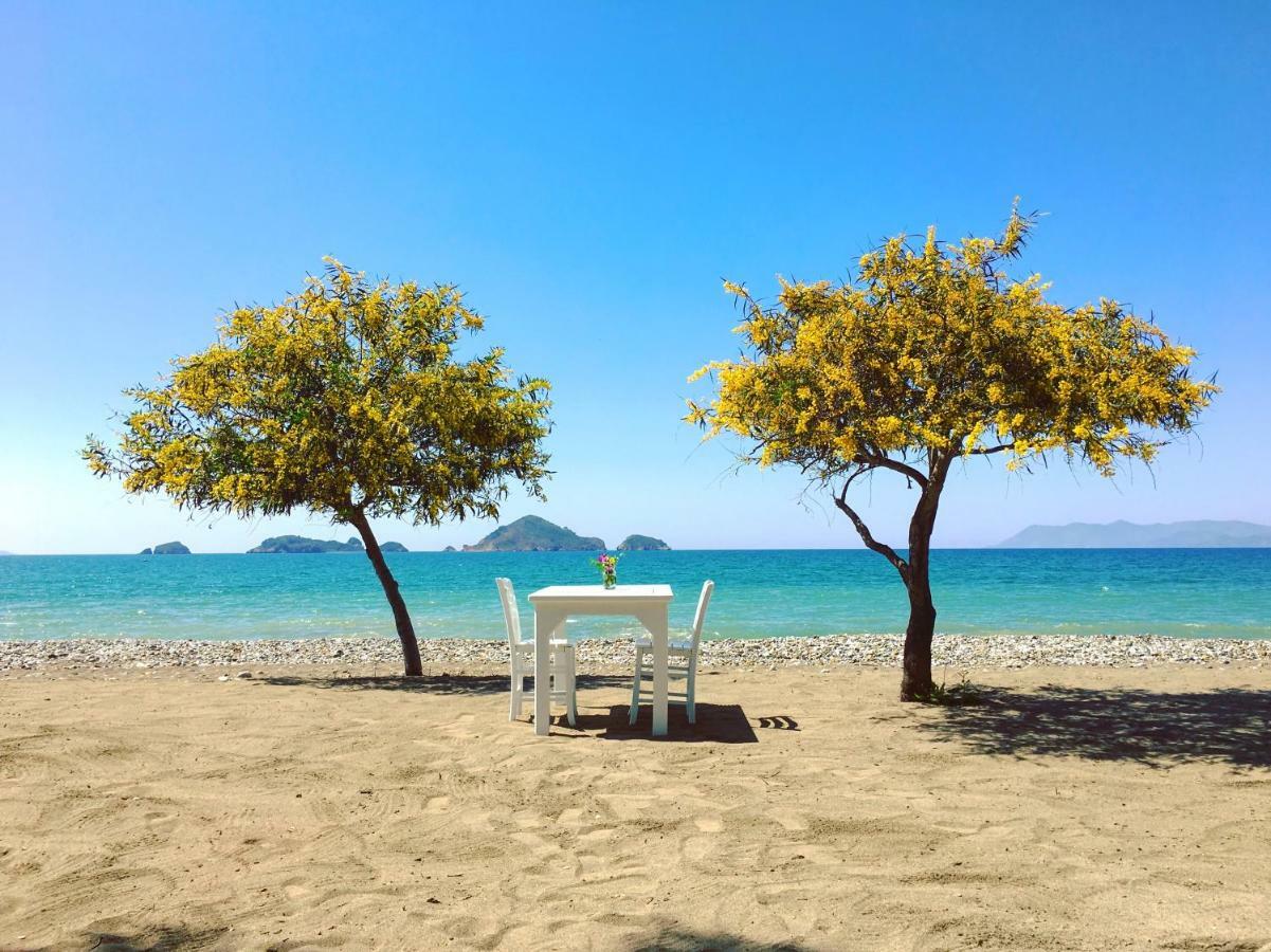 Yonca Lodge Fethiye Exterior foto