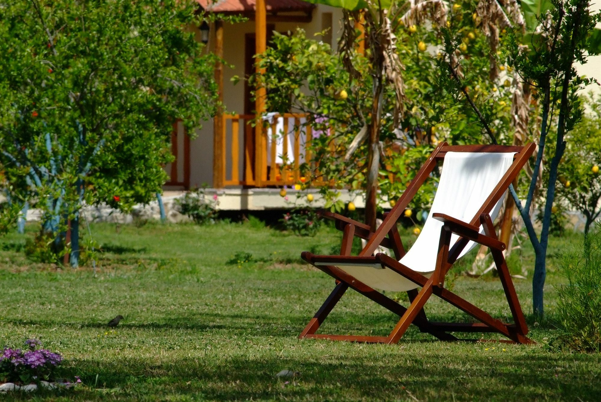 Yonca Lodge Fethiye Exterior foto